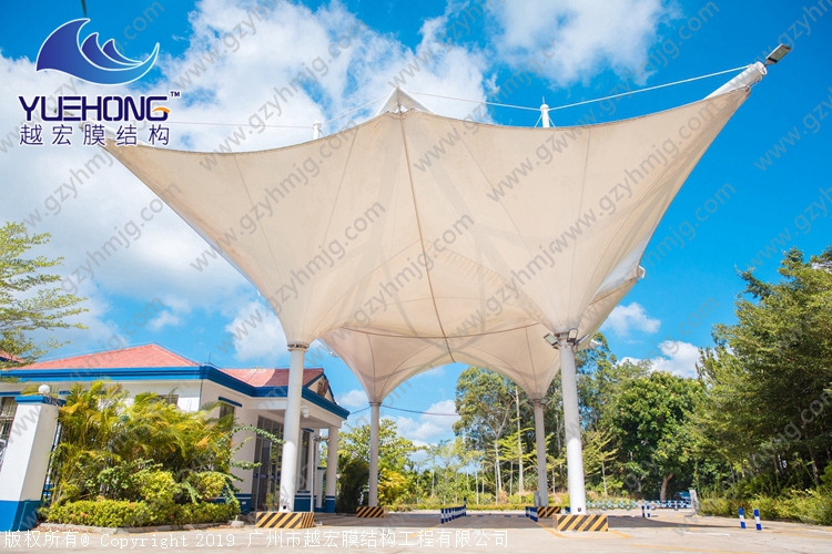 1601711672720078.jpg 5.jpg